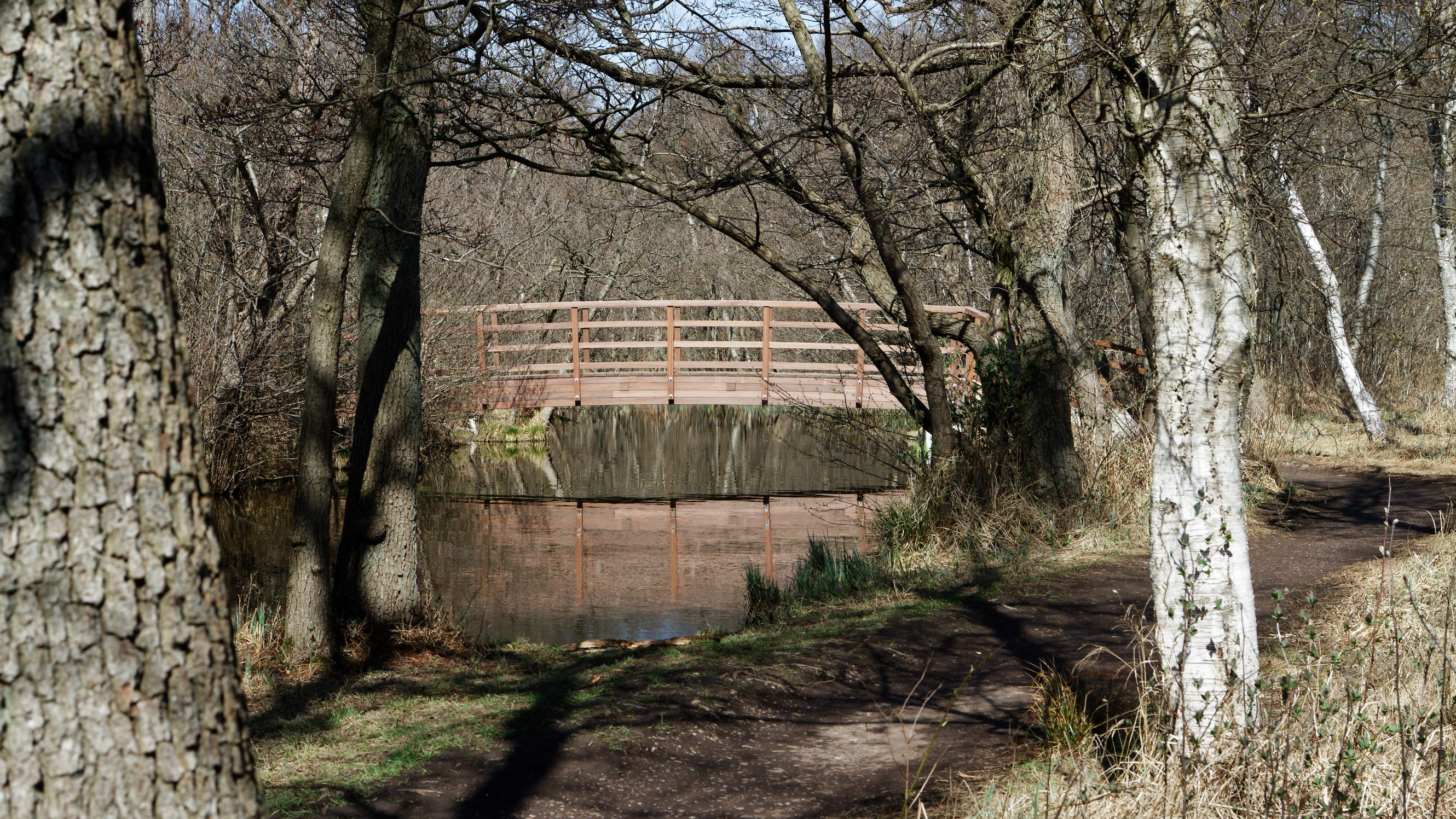 20210420 Lyngby Sø 51